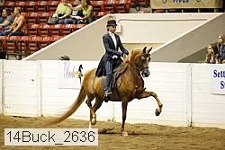 14buck_2636 proof