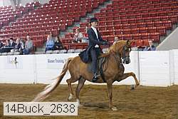 14buck_2638 proof
