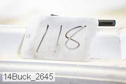 14buck_2645 proof