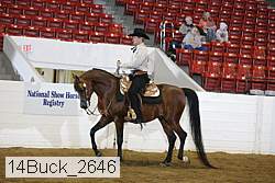 14buck_2646 proof