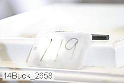 14buck_2658 proof