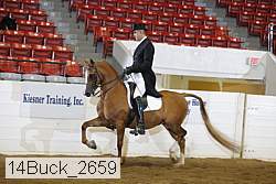 14buck_2659 proof
