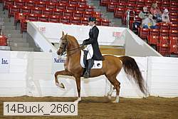 14buck_2660 proof