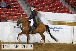 14buck_2663 proof