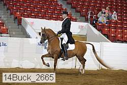 14buck_2665 proof