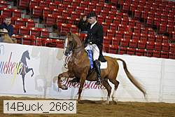 14buck_2668 proof