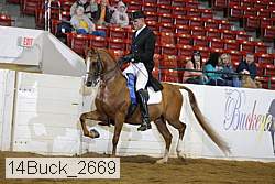 14buck_2669 proof