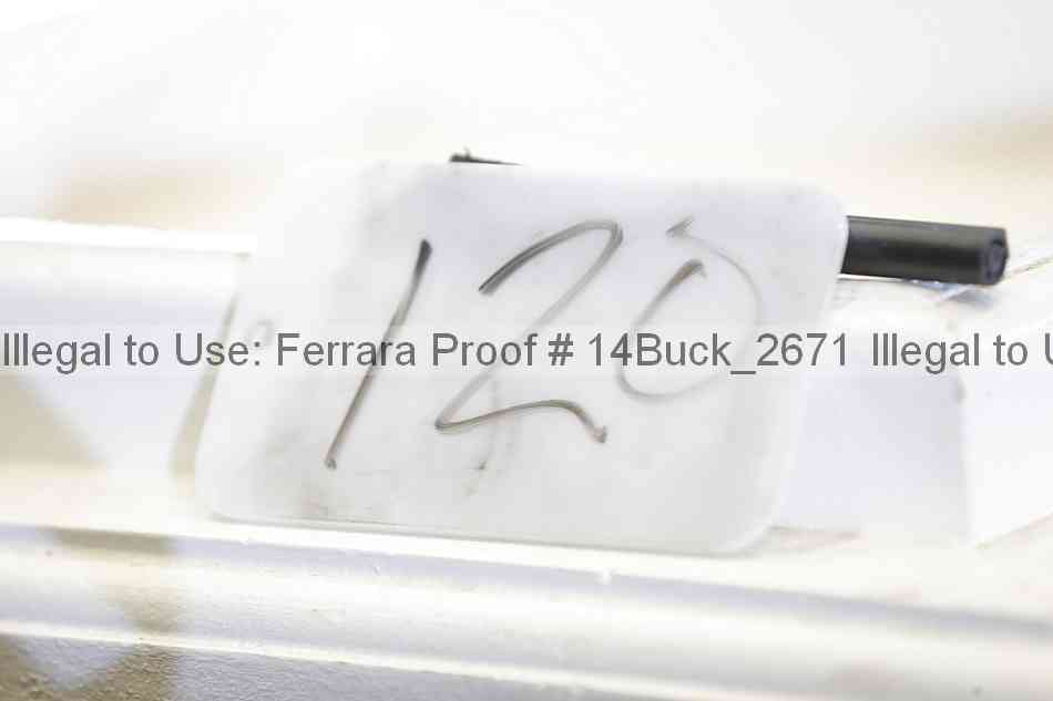 Proof 14buck_2671