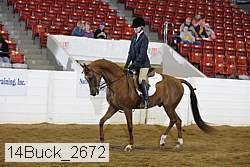 14buck_2672 proof