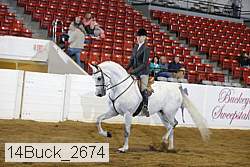 14buck_2674 proof