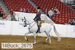 14buck_2675 proof