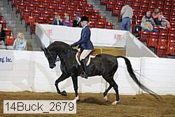 14buck_2679 proof