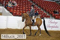 14buck_2681 proof