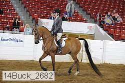 14buck_2682 proof