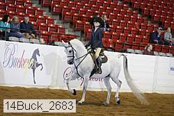 14buck_2683 proof