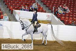 14buck_2685 proof