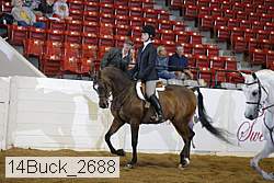 14buck_2688 proof