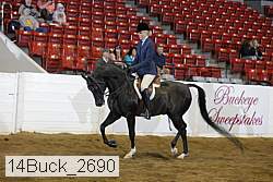 14buck_2690 proof