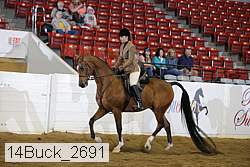 14buck_2691 proof