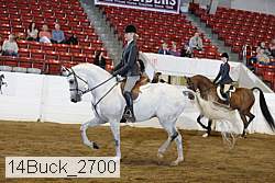 14buck_2700 proof