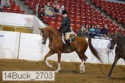 14buck_2703 proof