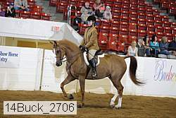 14buck_2706 proof