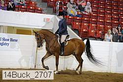 14buck_2707 proof