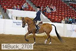 14buck_2708 proof