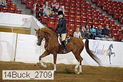 14buck_2709 proof