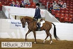 14buck_2710 proof