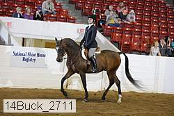 14buck_2711 proof