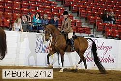 14buck_2712 proof