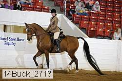 14buck_2713 proof