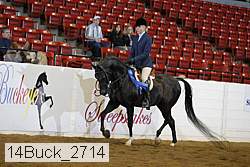 14buck_2714 proof