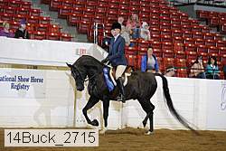 14buck_2715 proof