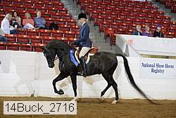 14buck_2716 proof