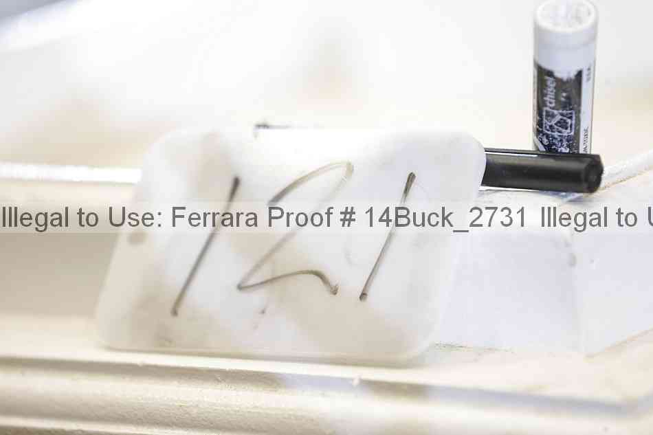 Proof 14buck_2731