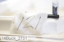 14buck_2731 proof