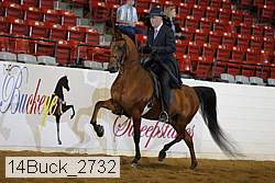 14buck_2732 proof