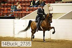 14buck_2735 proof
