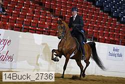 14buck_2736 proof