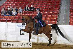 14buck_2738 proof