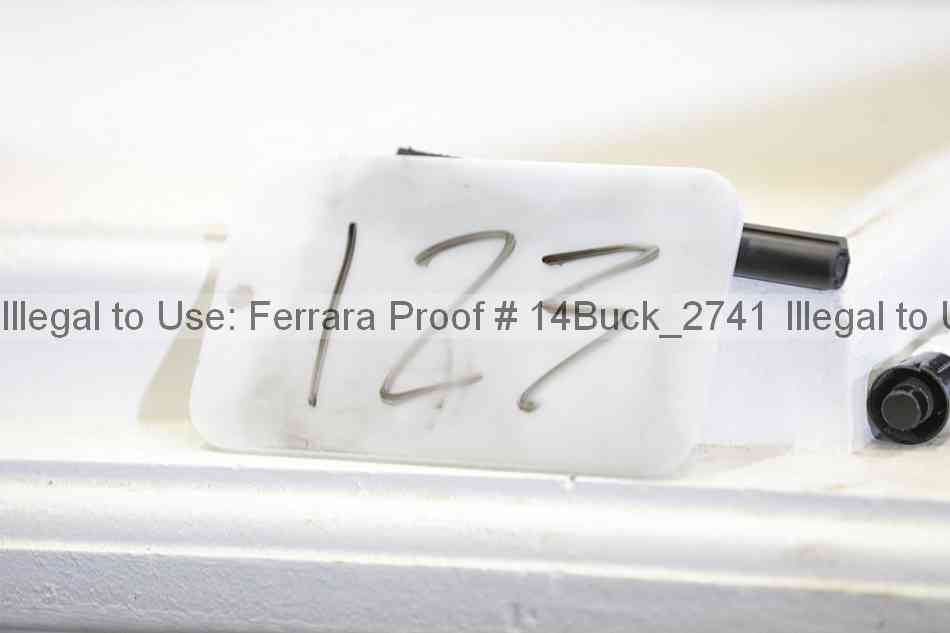 Proof 14buck_2741