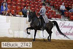 14buck_2742 proof