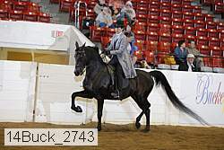 14buck_2743 proof