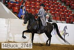 14buck_2748 proof