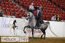 14buck_2749 proof