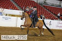 14buck_2750 proof