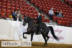 14buck_2753 proof