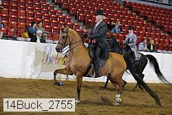 14buck_2755 proof